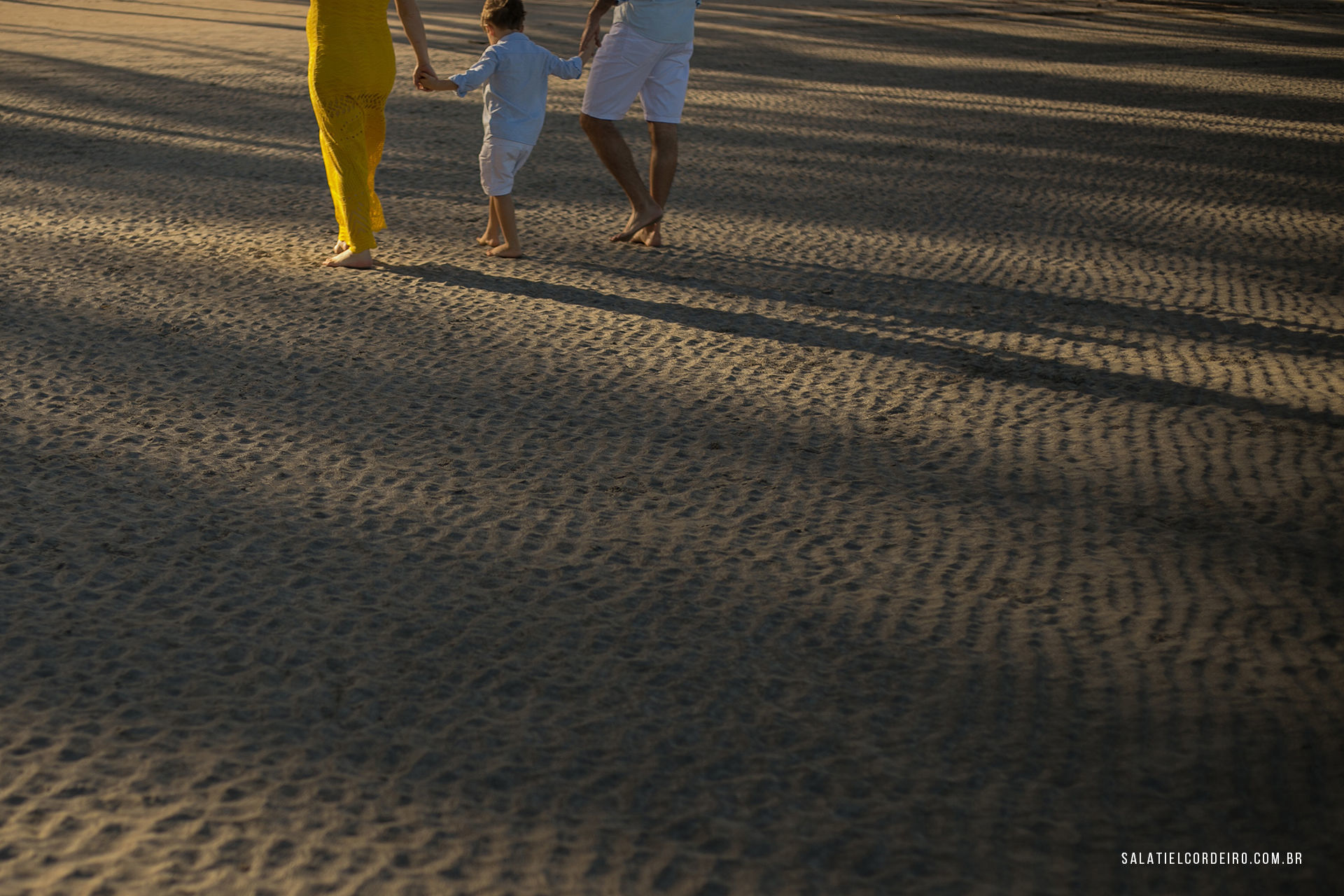 IMG-17