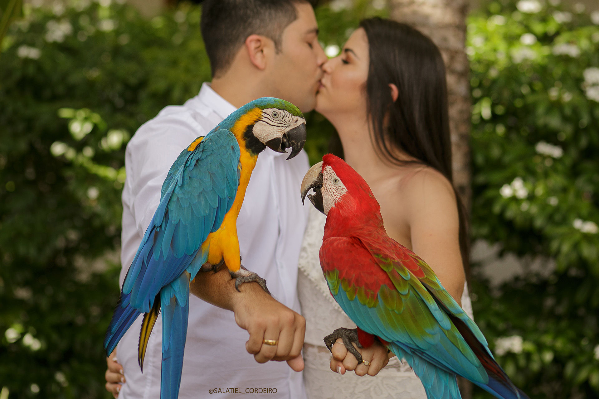 Foto Ensaio pré wedding da Taysa e do Müller em maragogi e na praia dos carneiros Foto Ensaio pré wedding da Taysa e do Müller em maragogi e na praia dos carneiros - Imagem 18