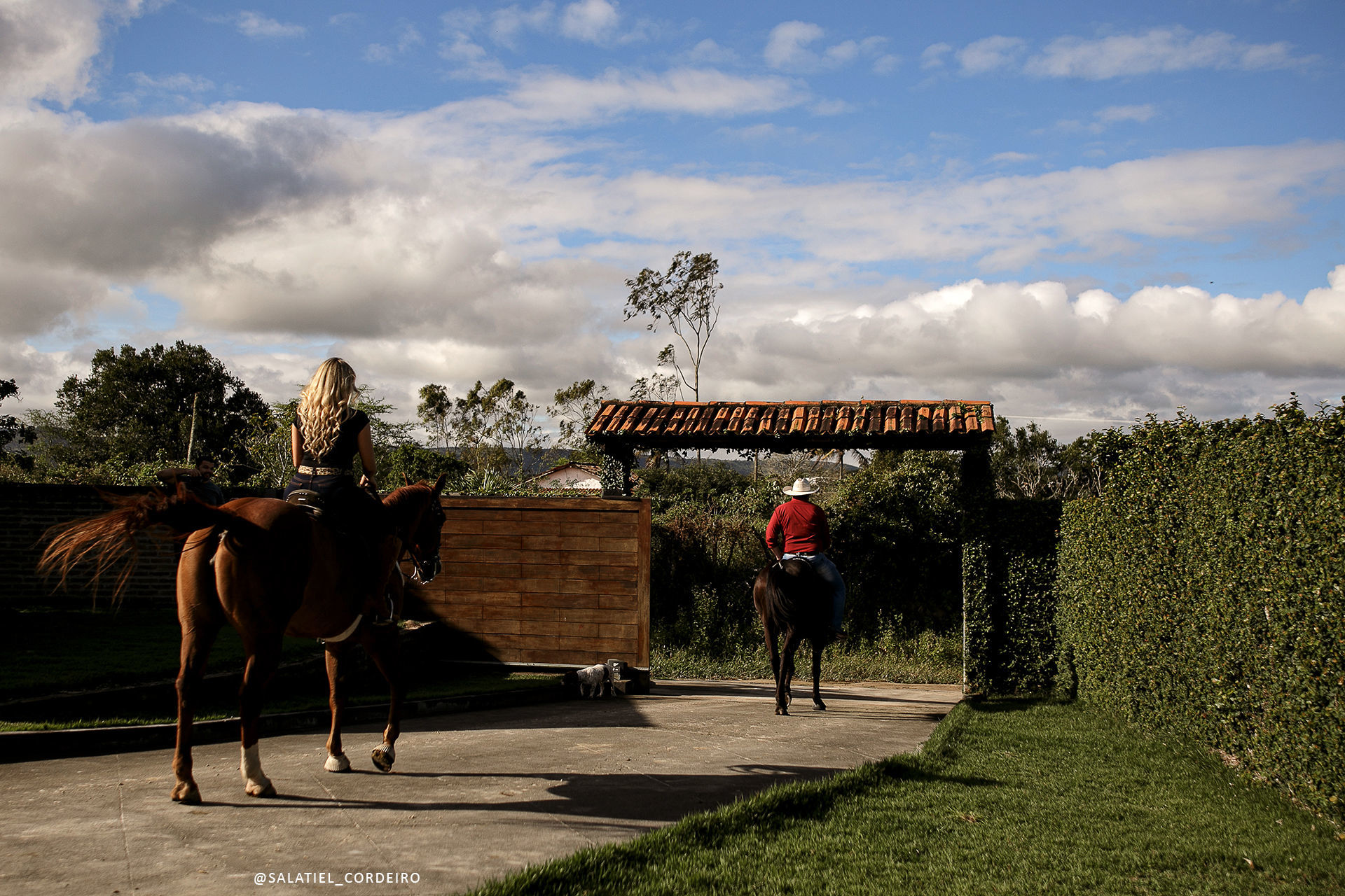 Foto Ensaio pré casamento com cavalos em Caruaru da Lidiane e do Júnior Foto Ensaio pré casamento com cavalos em Caruaru da Lidiane e do Júnior - Imagem 4