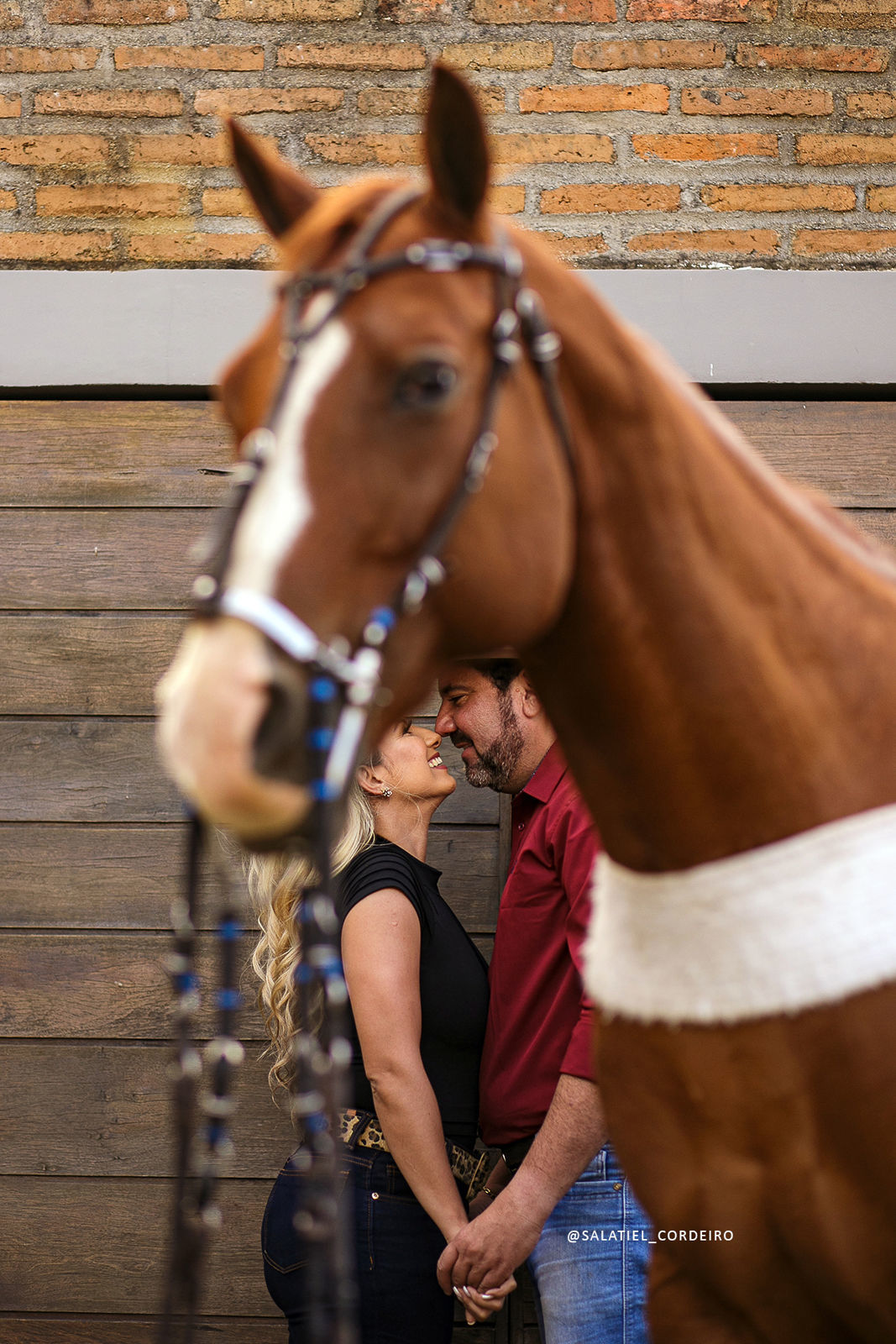 Foto Ensaio pré casamento com cavalos em Caruaru da Lidiane e do Júnior Foto Ensaio pré casamento com cavalos em Caruaru da Lidiane e do Júnior - Imagem 11