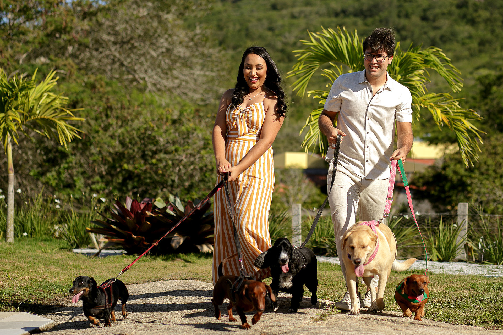 Foto Ensaio de casal com cachorros em Caruaru da Bianca e do Will Foto Ensaio de casal com cachorros em Caruaru da Bianca e do Will - Imagem 0