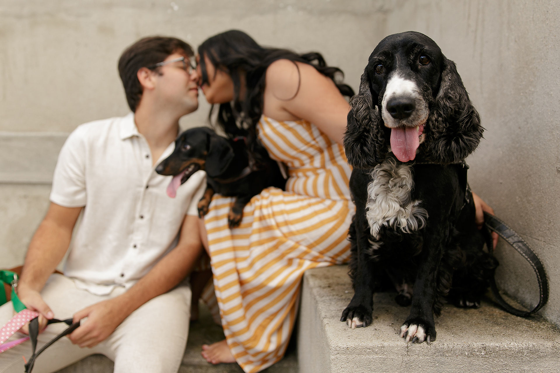 Foto Ensaio de casal com cachorros em Caruaru da Bianca e do Will Foto Ensaio de casal com cachorros em Caruaru da Bianca e do Will - Imagem 3