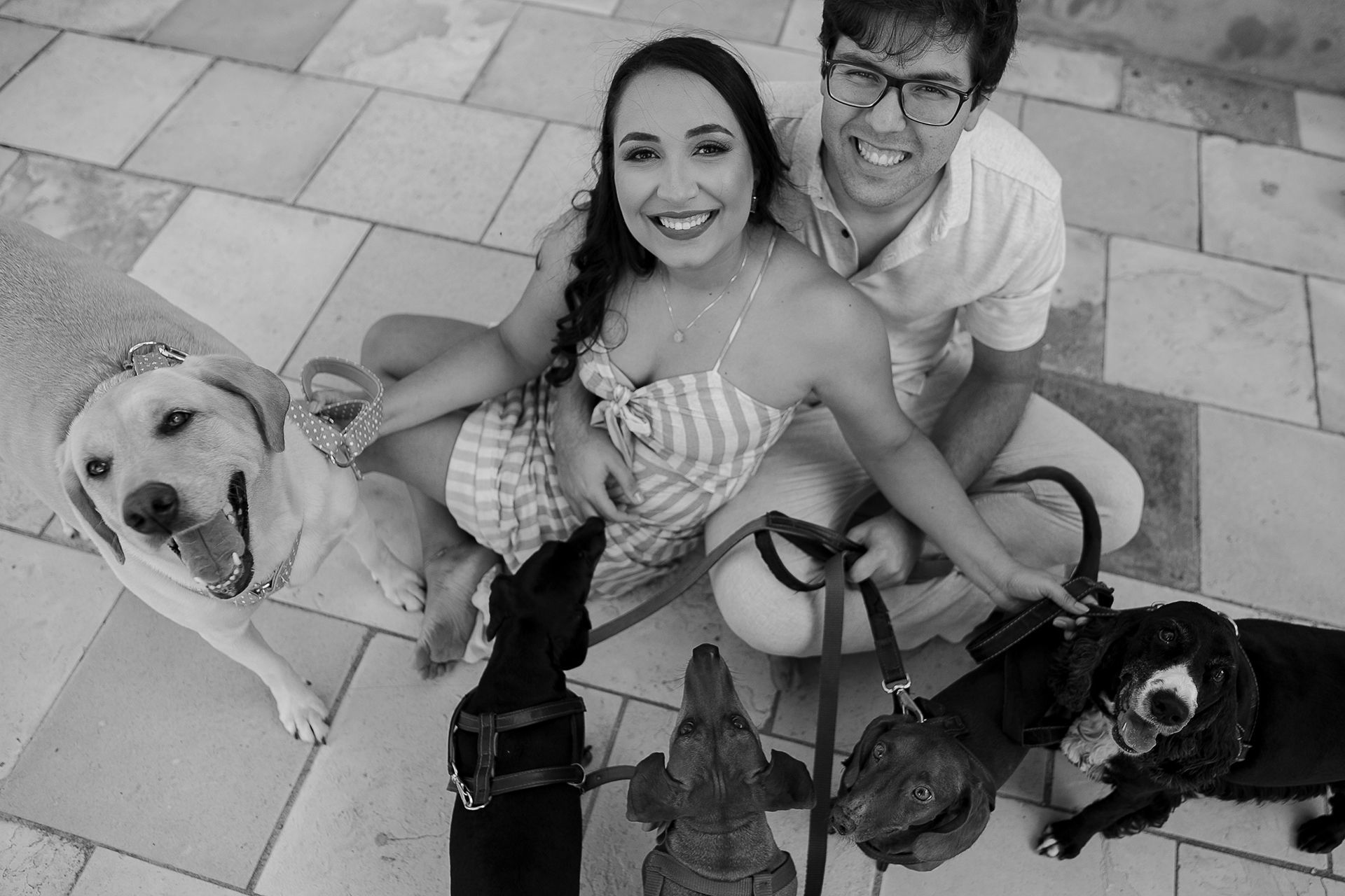 Foto Ensaio de casal com cachorros em Caruaru da Bianca e do Will Foto Ensaio de casal com cachorros em Caruaru da Bianca e do Will - Imagem 4