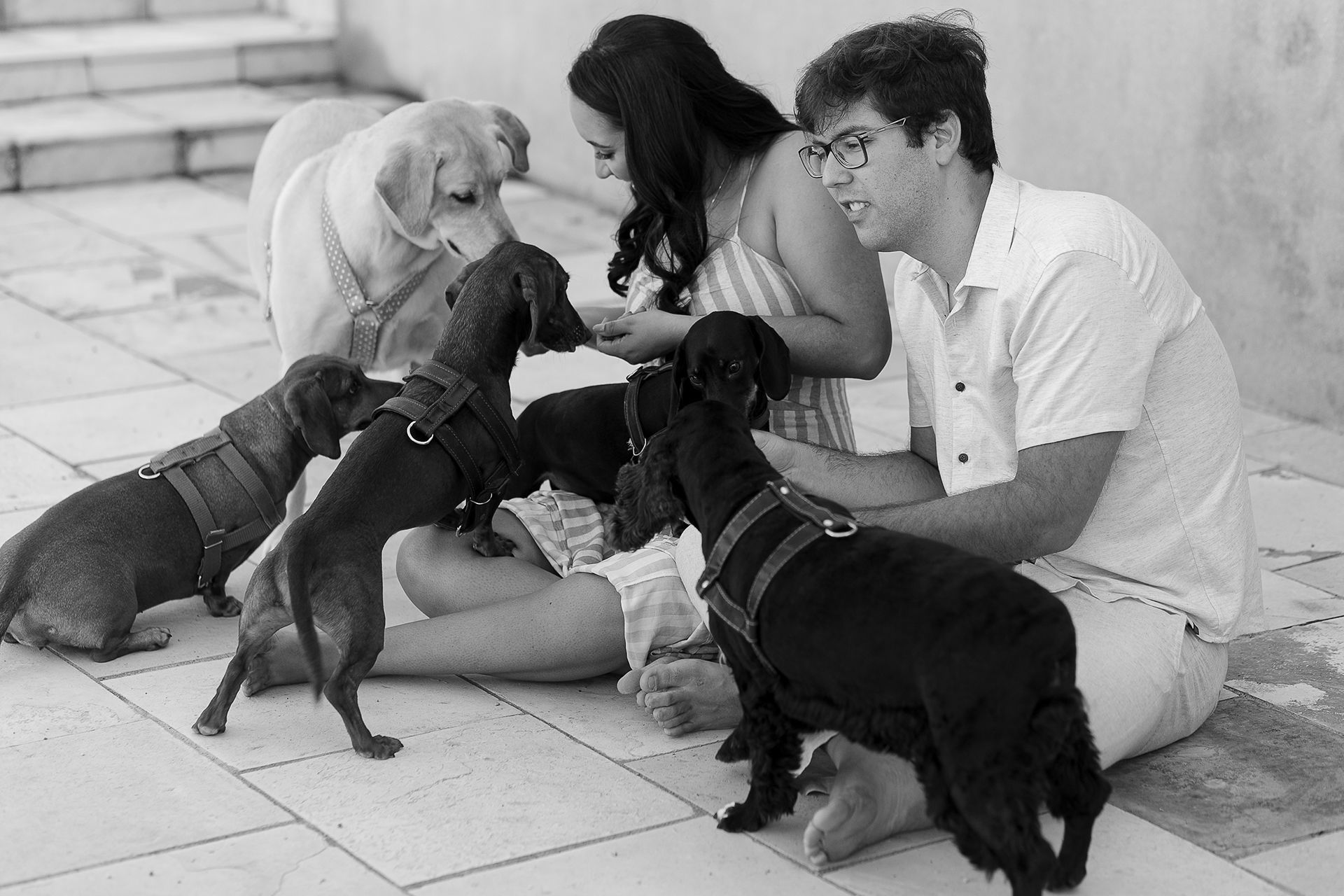 Foto Ensaio de casal com cachorros em Caruaru da Bianca e do Will Foto Ensaio de casal com cachorros em Caruaru da Bianca e do Will - Imagem 5