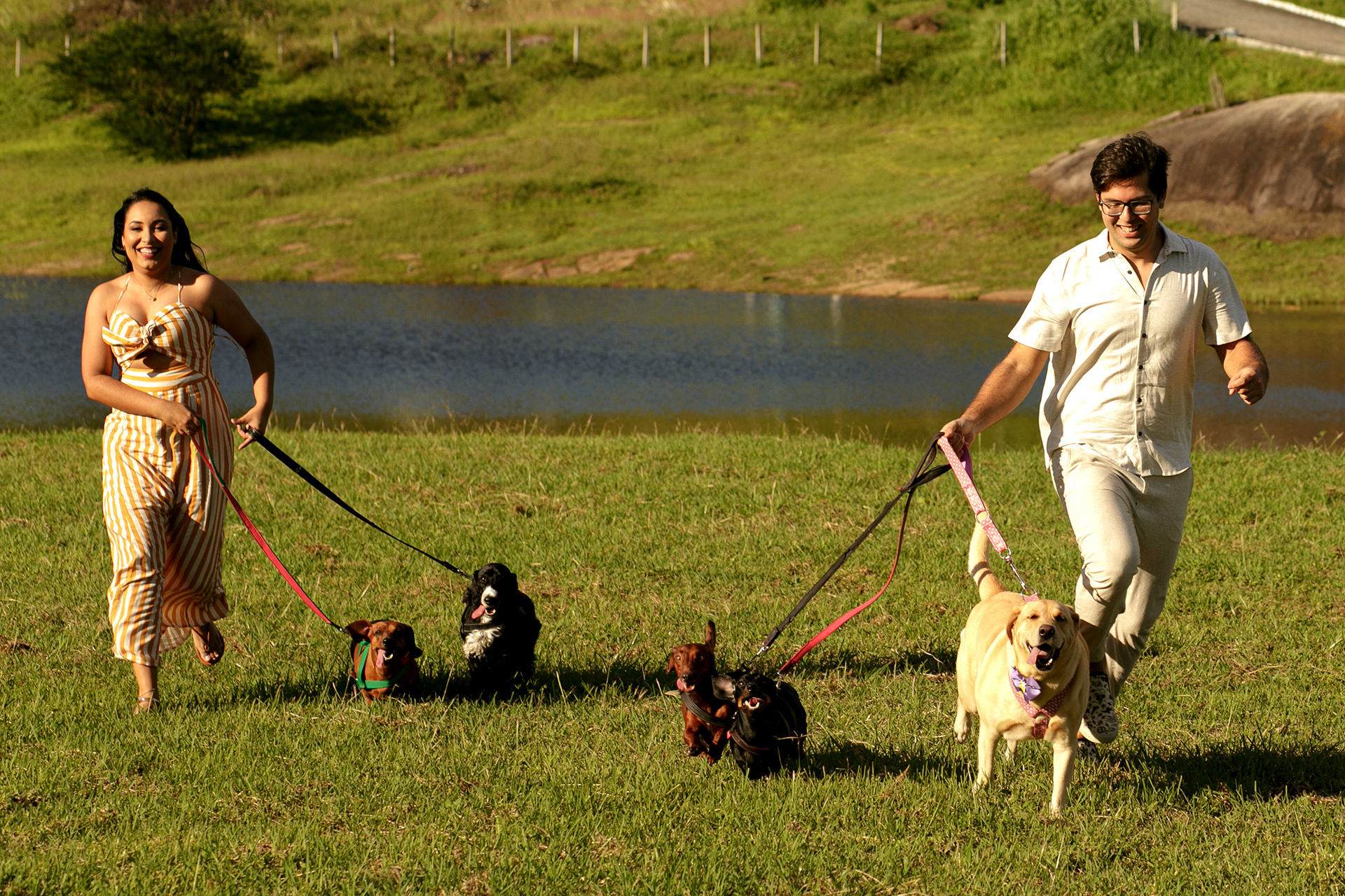 Foto Ensaio de casal com cachorros em Caruaru da Bianca e do Will Foto Ensaio de casal com cachorros em Caruaru da Bianca e do Will - Imagem 9