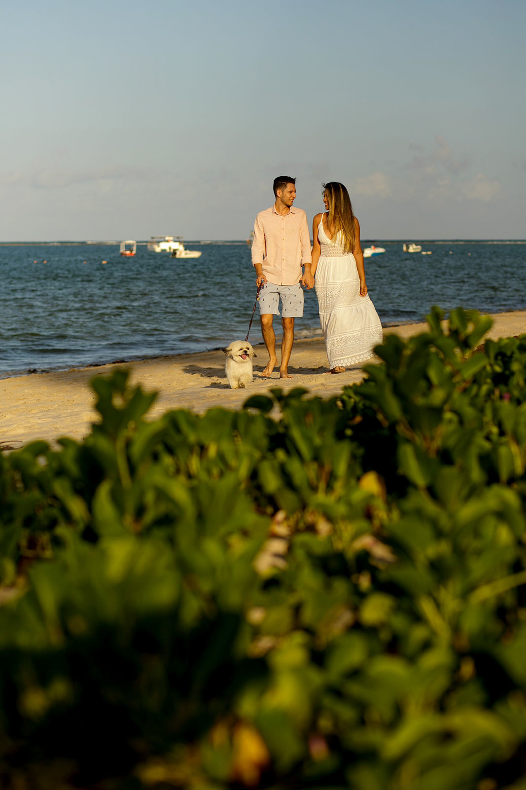 Foto Ensaio de pré casamento da Cecília e do Matheus na praia dos Carneiros Foto Ensaio de pré casamento da Cecília e do Matheus na praia dos Carneiros - Imagem 12