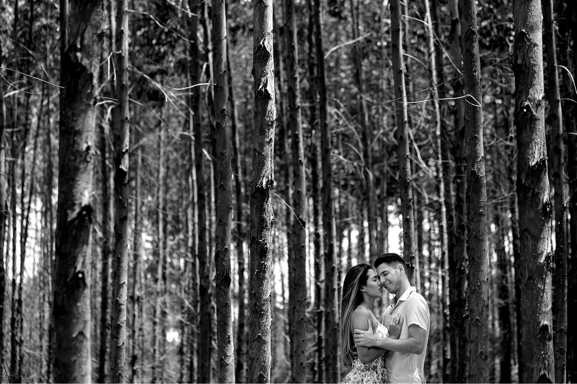 Foto Ensaio de pré casamento da Cecília e do Matheus na praia dos Carneiros Foto Ensaio de pré casamento da Cecília e do Matheus na praia dos Carneiros - Imagem 9