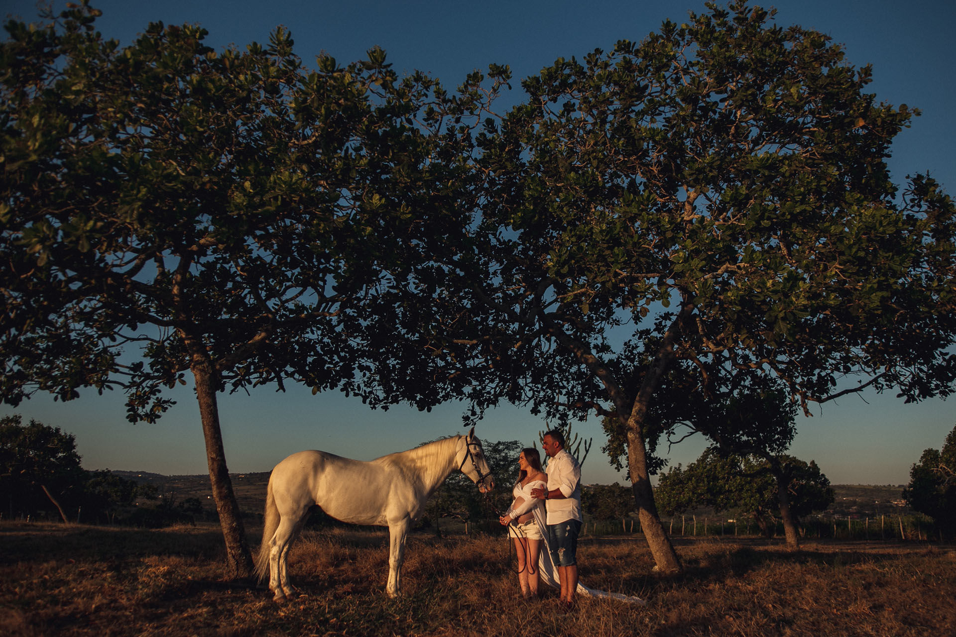 Foto Ensaio de gestante com cavalos da Jéssica e do Joel em Caruaru - PE Foto Ensaio de gestante com cavalos da Jéssica e do Joel em Caruaru - PE - Imagem 6