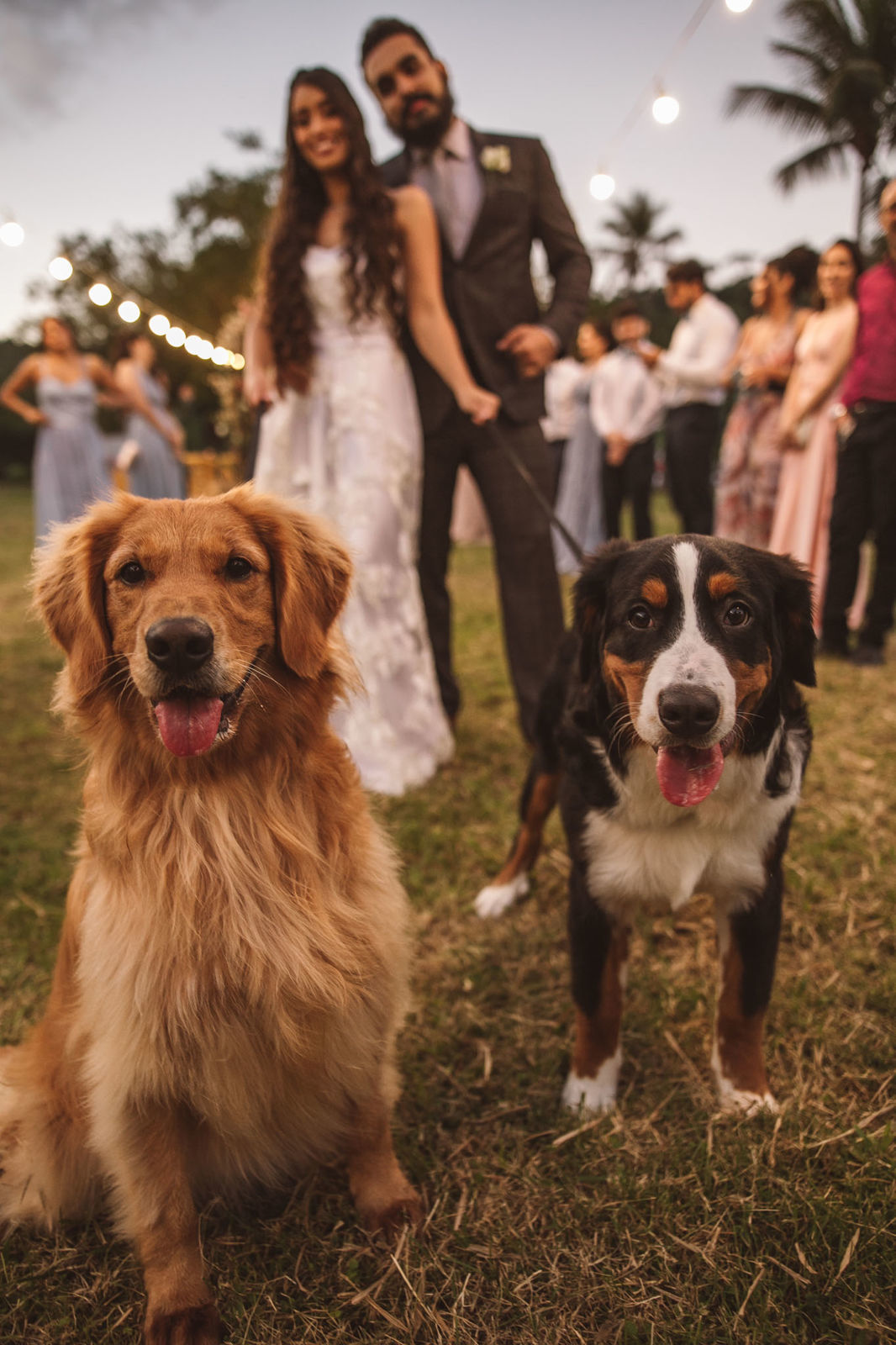Foto Casamento na Chácara San Diego em Caruaru da Nathália e Diego Foto Casamento na Chácara San Diego em Caruaru da Nathália e Diego - Imagem 39