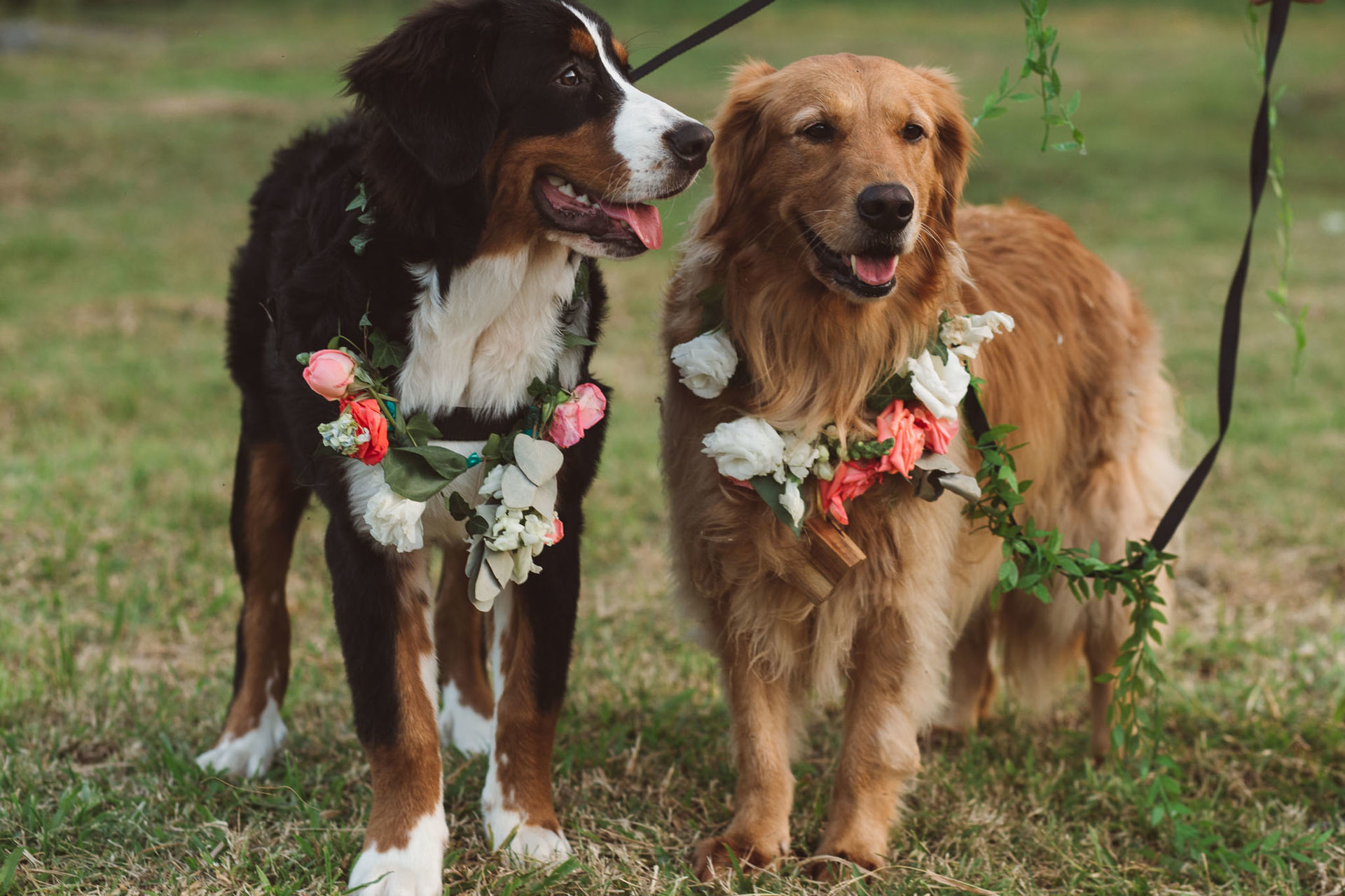 Foto Casamento na Chácara San Diego em Caruaru da Nathália e Diego Foto Casamento na Chácara San Diego em Caruaru da Nathália e Diego - Imagem 31